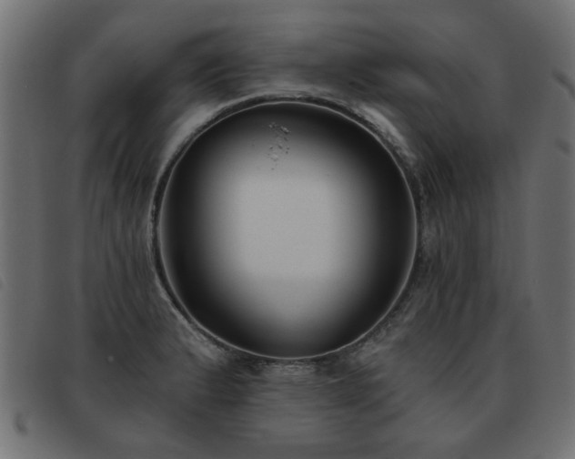 X0000093451183200710121348