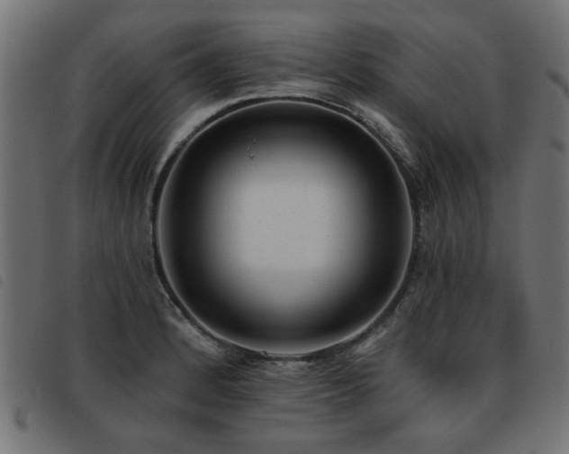 X0000093451184200710121348