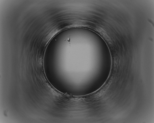 X0000093451185200710121347