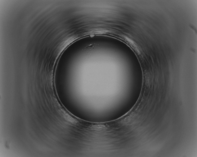 X0000093451186200710121347
