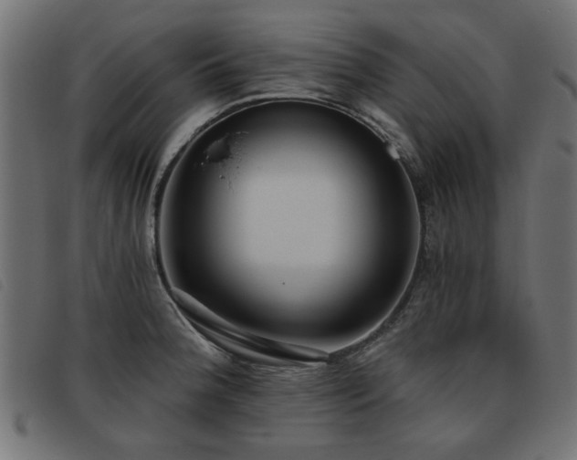 X0000093451188200710121347