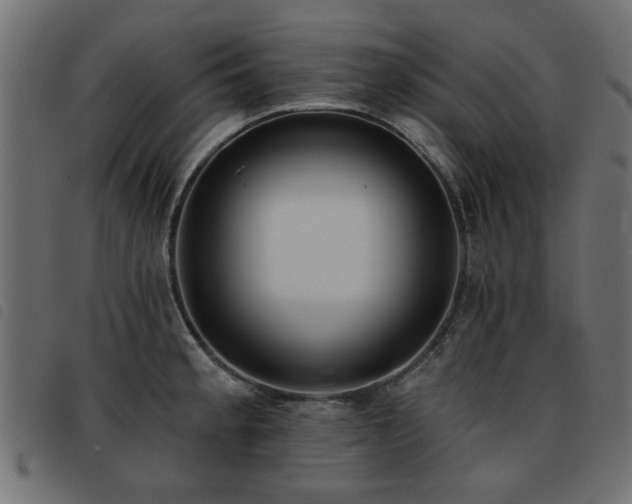 X0000093451189200710121347