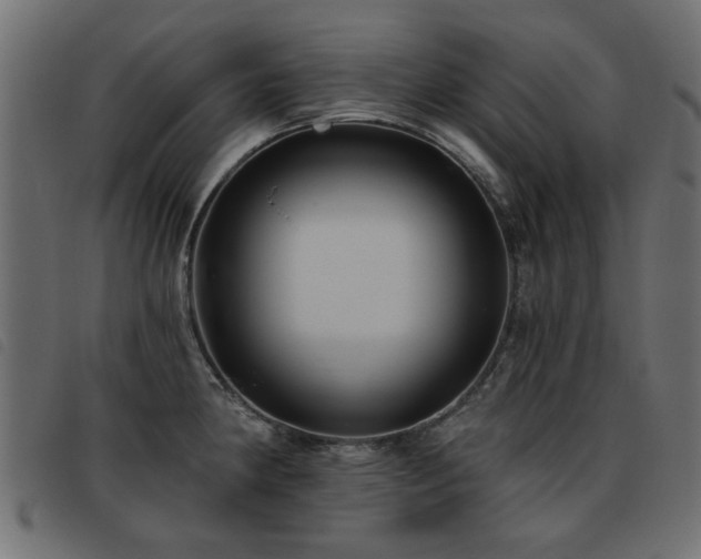 X0000093451190200710121347