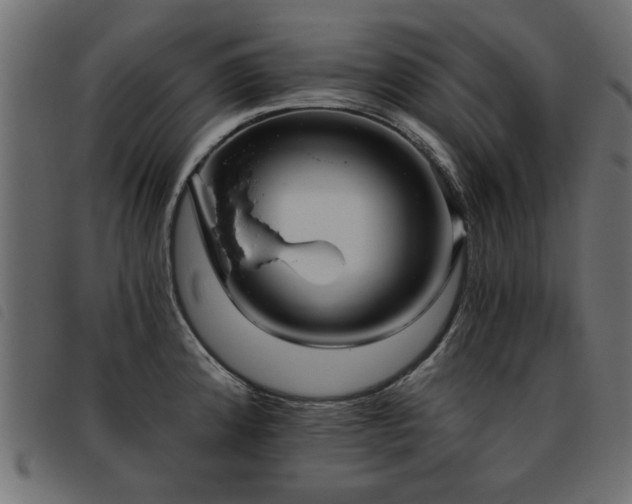 X0000093451192200710121347