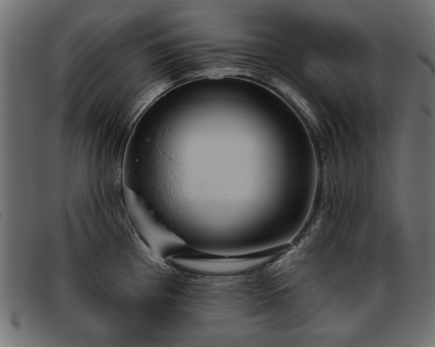 X0000093451193200710121347