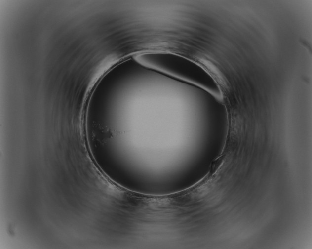 X0000093451196200710121347