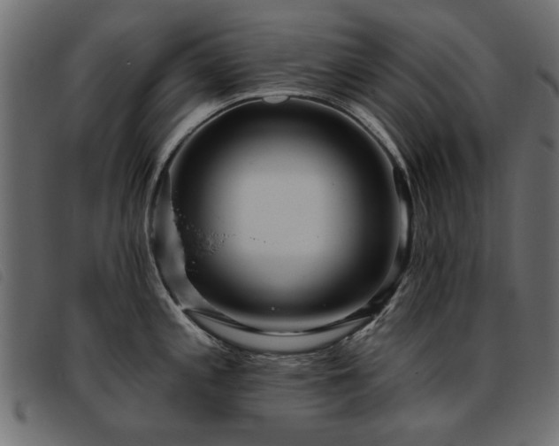 X0000093451197200710121347