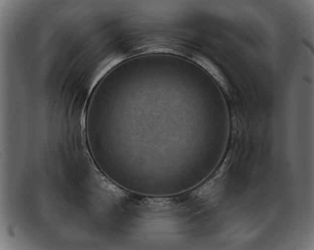 X0000093451198200710121347