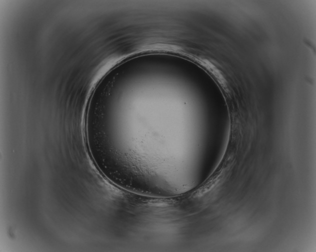 X0000093451199200710121347