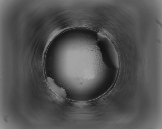 X0000093451200200710121347