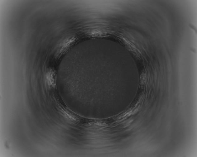 X0000093451202200710121347