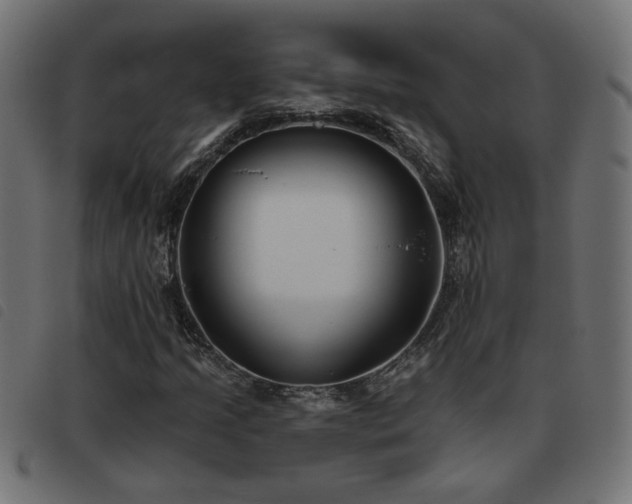 X0000093451205200710121347