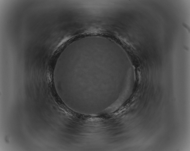X0000093451206200710121347