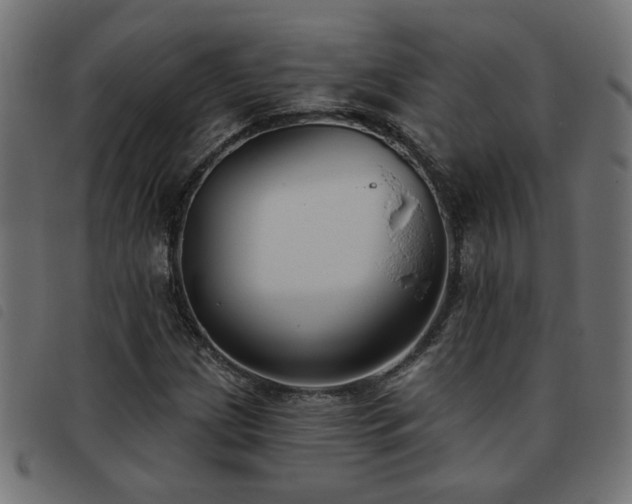 X0000093451209200710121347