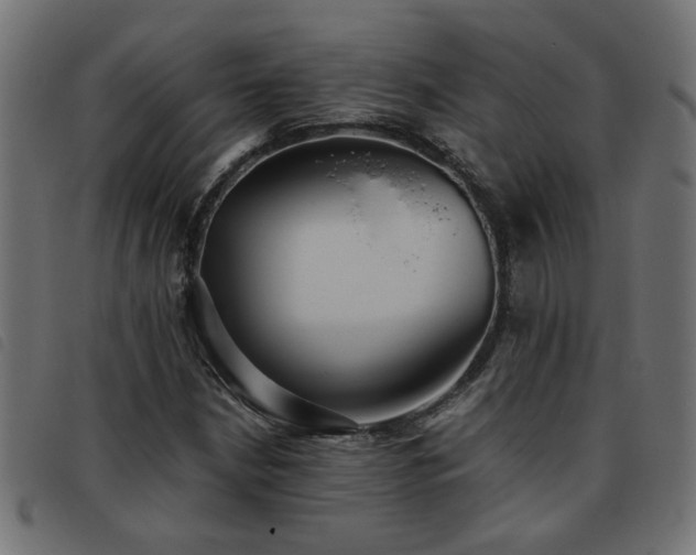 X0000093451210200710121347