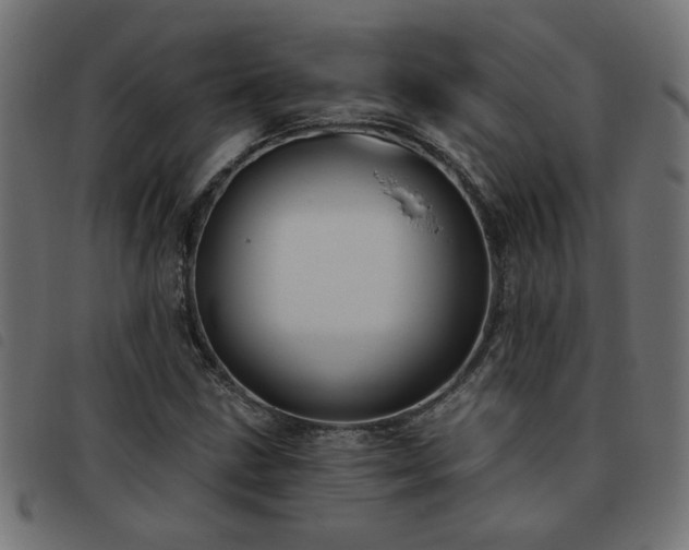 X0000093451211200710121347