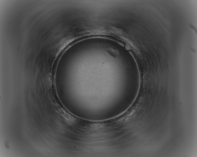 X0000093451212200710121347