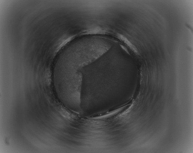 X0000093451213200710121347