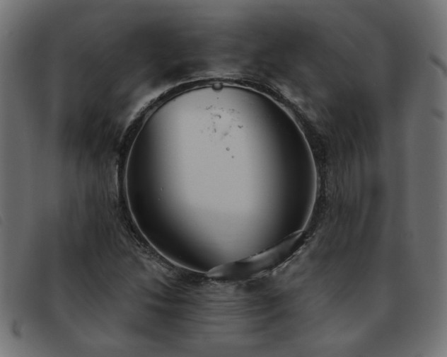 X0000093451214200710121347