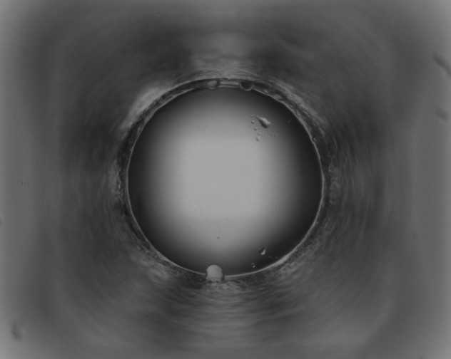 X0000093451215200710121347