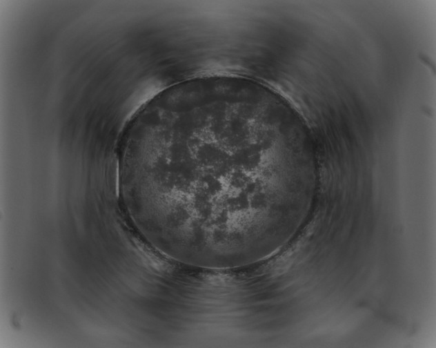 X0000093451219200710121347