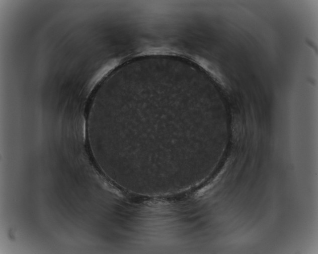 X0000093451221200710121347