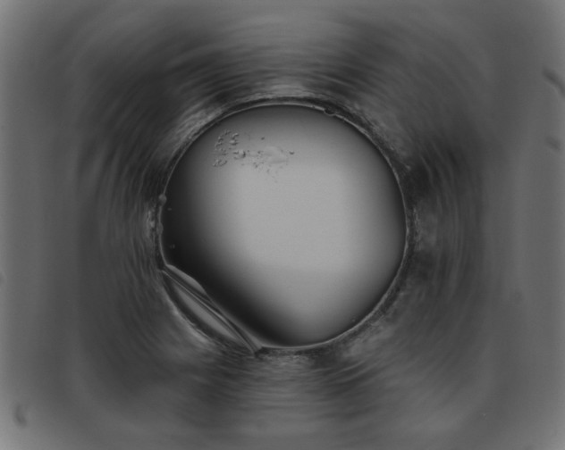X0000093451225200710121347