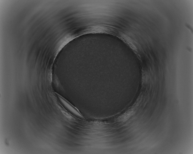 X0000093451226200710121347