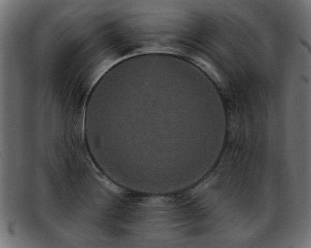X0000093451228200710121347