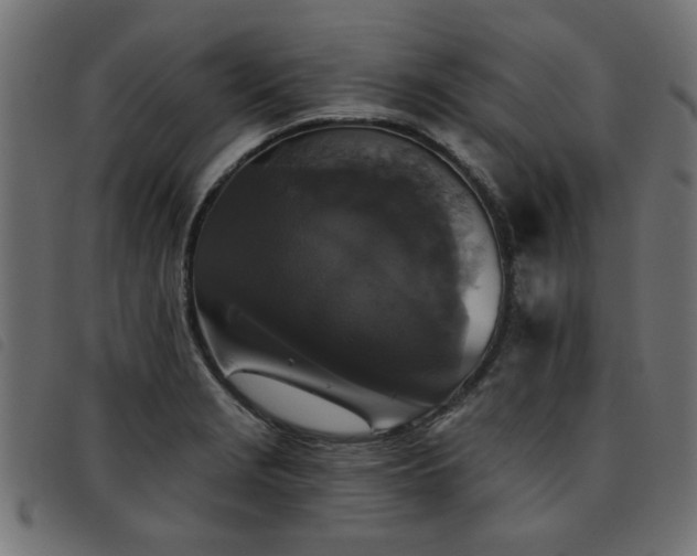 X0000093451229200710121347