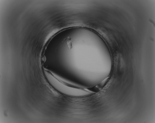 X0000093451230200710121347