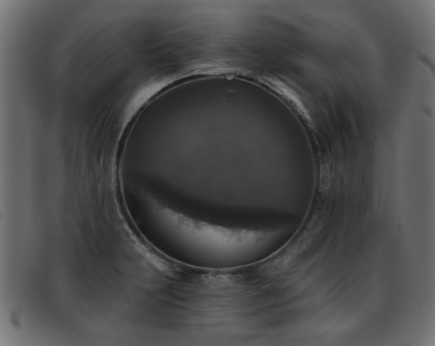 X0000093451231200710121347