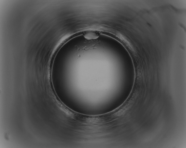 X0000093451232200710121347