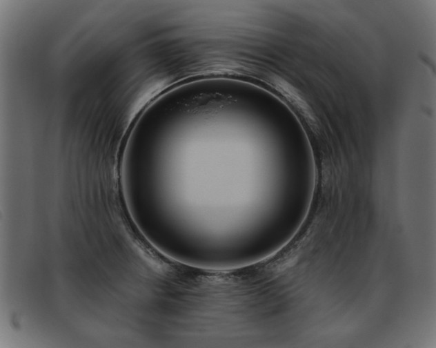 X0000093451234200710121347