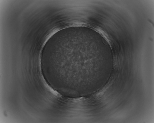 X0000093451235200710121347