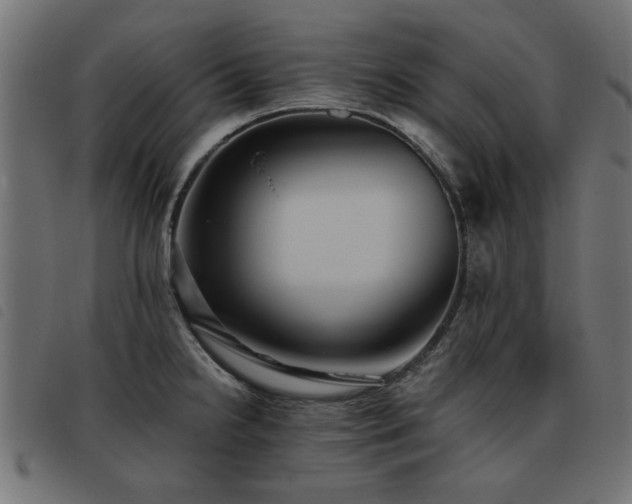 X0000093451238200710121347