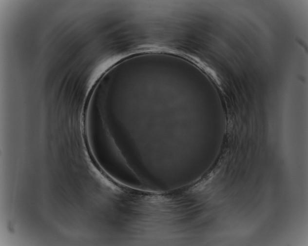 X0000093451239200710121347