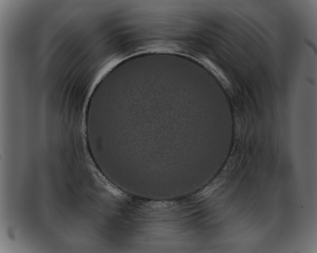 X0000093451240200710121347