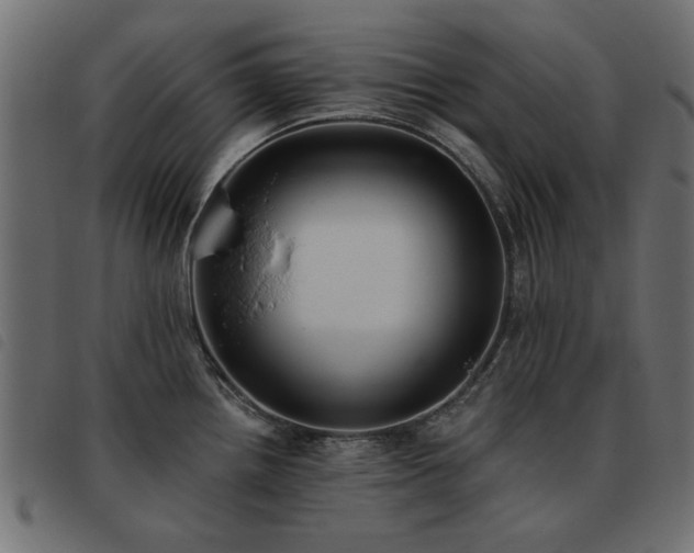 X0000093451242200710121347