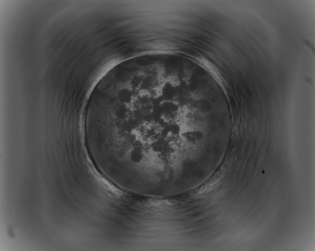 X0000093451243200710121347