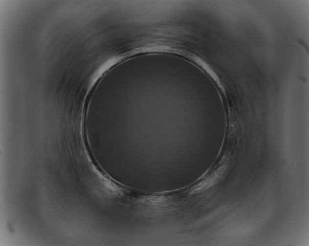 X0000093451245200710121347