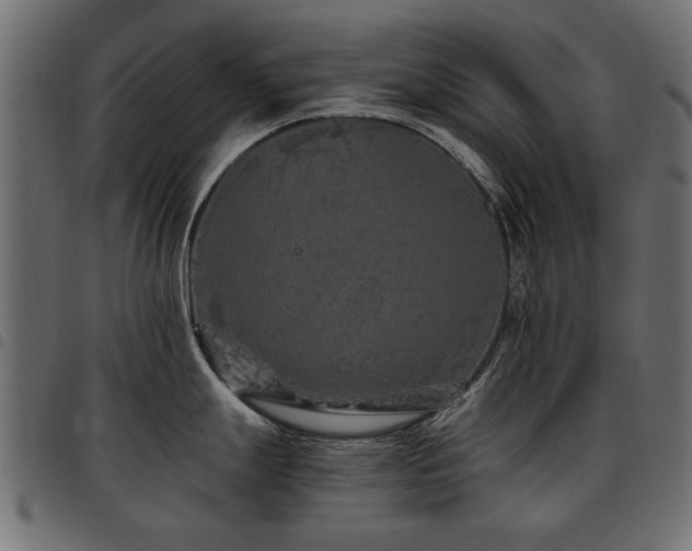 X0000093451247200710121347