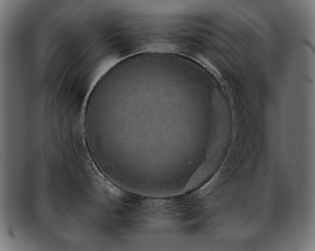 X0000093451248200710121347
