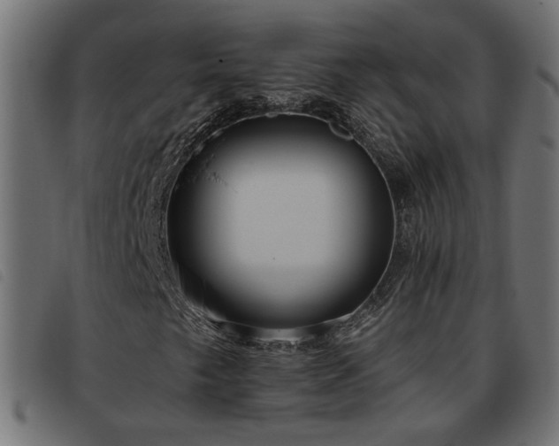 X0000093451249200710121347