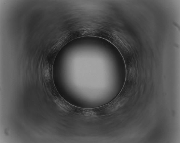 X0000093451250200710121347