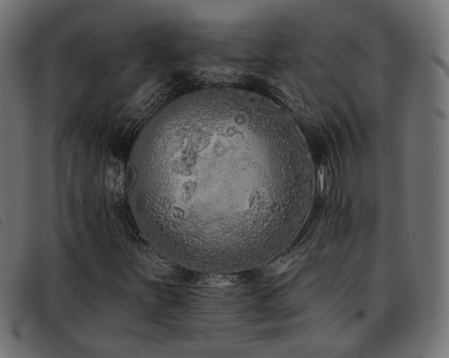 X0000093451251200710121347