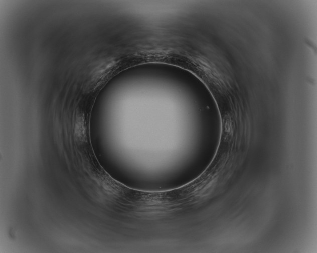 X0000093451252200710121347
