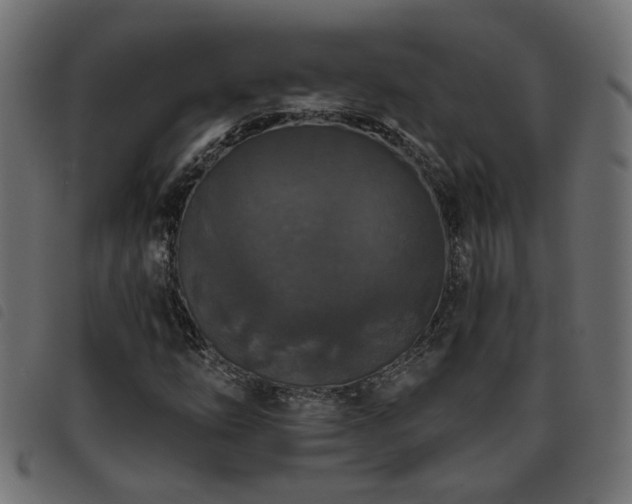 X0000093451254200710121347