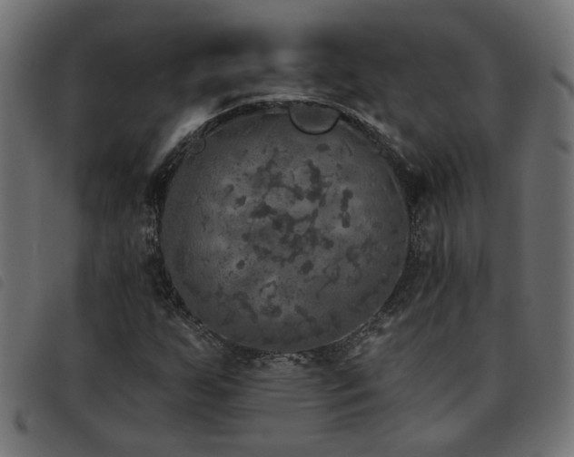 X0000093451255200710121347