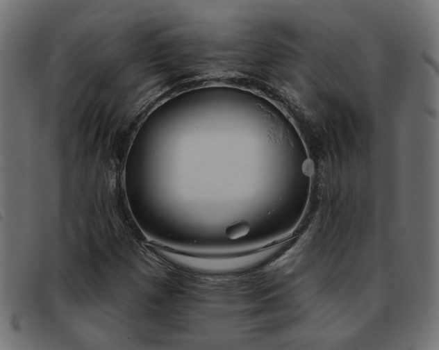 X0000093451257200710121347